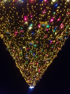 DVC00165.jpg