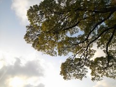 IMG00218.jpg