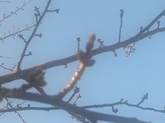 IMG00702.jpg