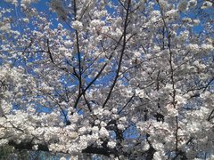 IMG00712.jpg
