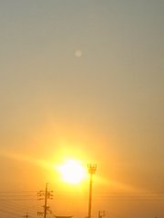 IMG00788.jpg