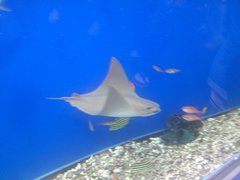 IMG00793.jpg