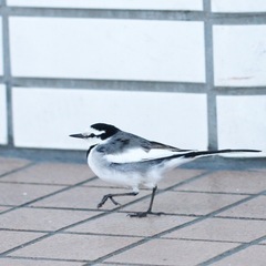 image.jpeg
