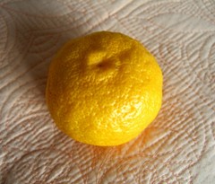 1261645351.jpg