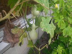 IMG00400.jpg