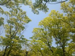 IMG00742.jpg
