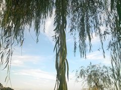 IMG00900.jpg