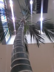 IMG00960.jpg