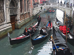 IMG58842.jpg